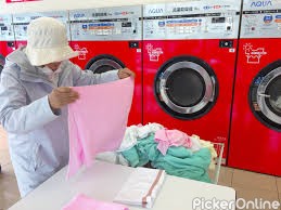Village Laundry Services