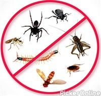 Anti Pest Services
