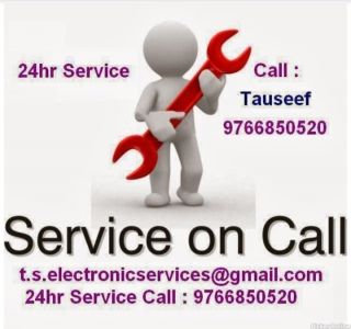 T. S. Electronic Services