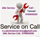 T. S. Electronic Services