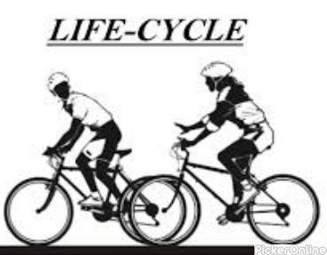 Life Cycle