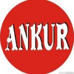 Ankur Enterprises