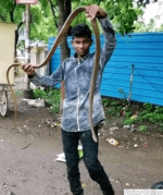 Ajay Snake Catcher