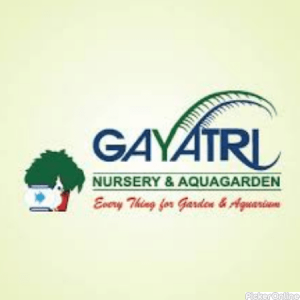 Gayatri Nursery And Aquagarden