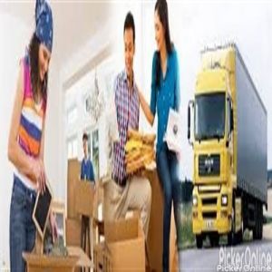 Best International Packers & Movers