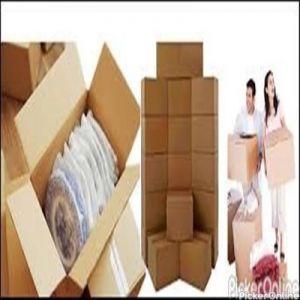 Bhavesh Packers And Movers