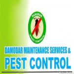 Damodar Maintenance Services And Pest Control