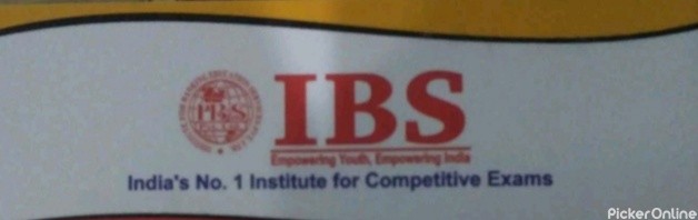 IBS Institute