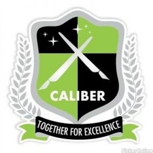 X-Caliber Kids