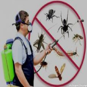 Jmk PEST Control & Fumigation