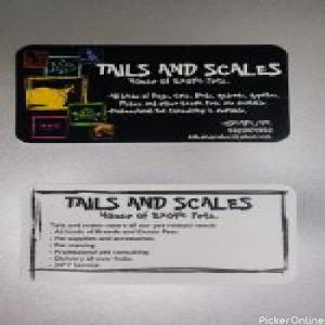 TAILS and SCALES