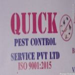 Quick Pest Control Service
