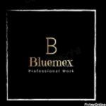 Bluemex Professional Work
