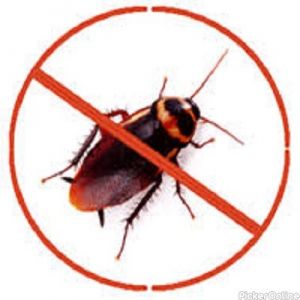 Nagpur Pest Control