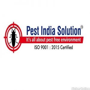 Pest India Solution
