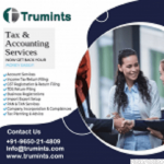 Trumints Business Solutions Pvt Ltd
