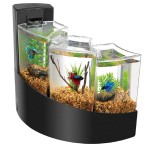 Fish Aquariums