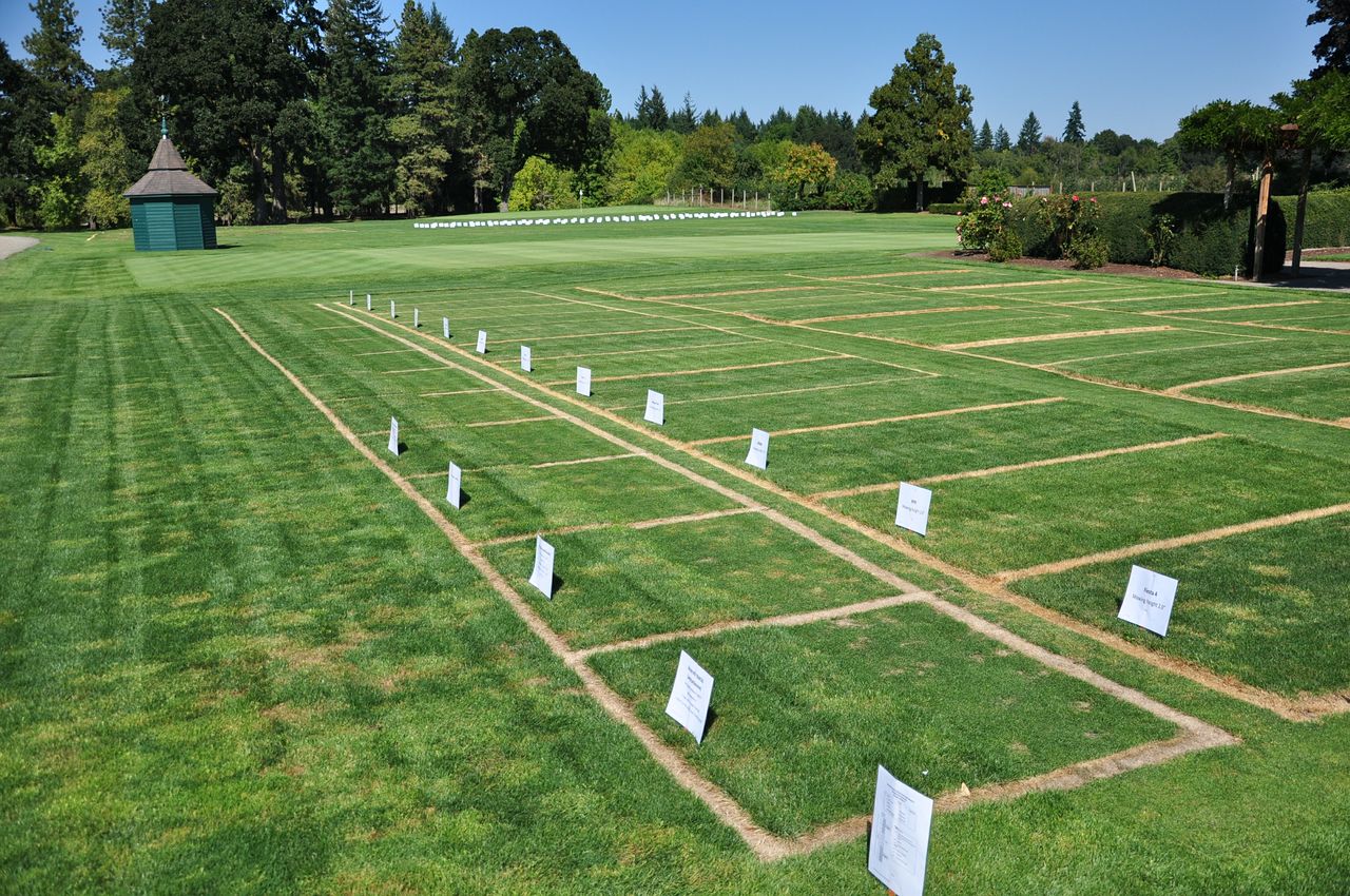 Residential Plots in Nagpur Residential Land For Sale Pickeronline Residential Plots in Nagpur Residential Land For Sale Pickeronline