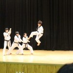 Taekwondo Coaching Classes